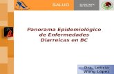 Panorama Epidemiológico de Enfermedades Diarreicas en BC Dra. Leticia Wong López Epidemiología Estatal.
