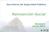 Ene - Jun 2011 Reinserción Social Avances Junio 2011 Secretaría de Seguridad Pública.