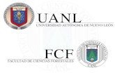 UANL FCF UNIVERSIDAD AUTÓNOMA DE NUEVO LEÓN FACULTAD DE CIENCIAS FORESTALES.