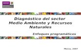 Marzo, 2007 Diagnóstico del sector Medio Ambiente y Recursos Naturales Enfoques programáticos.