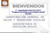 COORDINACIÓN GENERAL DE SALUD Y SEGURIDAD ESCOLAR SUBSECRETARIA DE EDUCACIÓN BÁSICA.