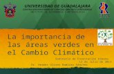 La importancia de las áreas verdes en el Cambio Climático Seminario de Forestación Urbana. 12 de Julio de 2011 Dr. Hermes Ulises Ramírez Sánchez UNIVERSIDAD.