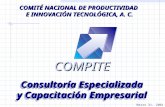 COMPITECOMPITE Consultoría Especializada y Capacitación Empresarial COMITÉ NACIONAL DE PRODUCTIVIDAD E INNOVACIÓN TECNOLÓGICA, A. C. Marzo 31, 2001.