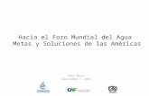 Hacia el Foro Mundial del Agua Metas y Soluciones de las Américas Abel Mejía Septiembre 7, 2011.