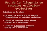 Uso de la filogenia en estudios ecologico-evolutivos Objetivos de la clase Entender la aplicación de métodos filogenéticos en estudios evolutivos Tratar.