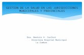 Dra. Beatriz H. Carlini Directora Hospital Municipal La Cumbre GESTION DE LA SALUD EN LAS JURISDICCIONES MUNICIPALES Y PROVINCIALES.