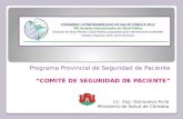 Programa Provincial de Seguridad de Paciente COMITÉ DE SEGURIDAD DE PACIENTE Lic. Esp. Genoveva Avila Ministerio de Salud de Córdoba.