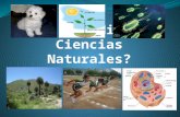 Las ciencias naturales: Tiene como objetivo el estudio de la naturaleza, siguiendo el método científico, estudia los aspectos físicos, químicos, biológicos.(