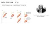 Luigi GALVANI - 1792 ¨...un fluido eléctrico proviene del músculo…¨ EXCITABILIDAD Y CONDUCTIVIDAD.