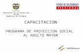 Ministerio de la Protección Social República de Colombia CAPACITACION PROGRAMA DE PROTECCION SOCIAL AL ADULTO MAYOR.