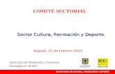 COMITÉ SECTORIAL Sector Cultura, Recreación y Deporte Bogotá, 25 de Febrero 2010 Dirección de Planeación y Procesos Estratégicos -SCRD.
