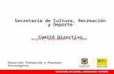 Secretaría de Cultura, Recreación y Deporte Comité Directivo Bogotá, Noviembre 9 de 2009 Dirección Planeación y Procesos Estratégicos.