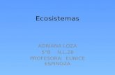 Ecosistemas ADRIANA LOZA 5°B N.L.28 PROFESORA: EUNICE ESPINOZA.