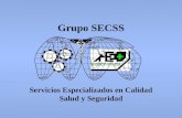 Grupo SECSS Servicios Especializados en Calidad Salud y Seguridad.