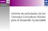 Informe de actividades de los Consejos Consultivos Núcleo para el desarrollo Sustentable.