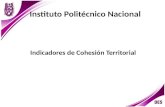 Instituto Politécnico Nacional Indicadores de Cohesión Territorial.