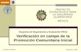 Esquema de Seguimiento y Evaluación PESA Verificación en campo de la Promoción Comunitaria Inicial Ciudad de México Diciembre, 2008. PROYECTO ESTRATÉGICO.