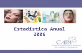 Estadística Anual 2006. 2 Agenda Metodología Mercado 2006 –Resultados por categoría en Millones de Pesos y Unidades.