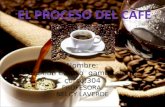 PROCESO PRODUCTIVO DEL CAFE