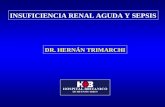 INSUFICIENCIA RENAL AGUDA Y SEPSIS DR. HERNÁN TRIMARCHI.