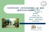 Cultivos celulares y sus aplicaciones Instituto de Oncología Angel H. Roffo Área de Investigación Dpto. Biología Celular.