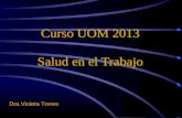 Curso UOM 2013 Salud en el Trabajo Dra.Violeta Torres.