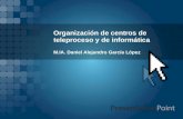 Organización de centros de teleproceso y de informática M.IA. Daniel Alejandro García López.