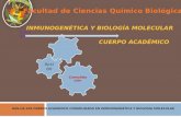 CUERPO ACADÉMICO CONSOLIDADO EN INMUNOGENÉTICA Y BIOLOGÍA MOLECULARUAS-CA-105 Consolidación Acción Evaluación.