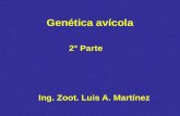 Genética avícola 2° Parte Ing. Zoot. Luis A. Martínez.