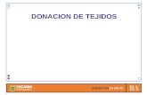 DONACION DE TEJIDOS. SELECCION TIPOS DE DONANTES DE TEJIDOS Donantes vivos ( amnios, sangre, válvulas cardíacas de corazones explantados) Donantes cadavéricos