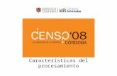 Características del procesamiento. Antecedentes Planillas C1 Total En la Provincia de Córdoba: - Segundo Censo Provincial de Población: Años 1996 y 2008.