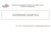 DIVERSIDAD GENETICA M. en C. Pedro Francisco Velázquez Ehuán. Instituto Tecnológico Superior de Calkiní en el Estado de Campeche.
