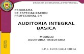 AUDITORIA TRIBUTARIA PROGRAMA DE ESPECIALIZACION PROFESIONAL EN C.P.C. ELVIS CALLE CHECA AUDITORIA INTEGRAL BASICA MODULO AUDITORIA TRIBUTARIA DIRECCION.