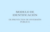 MODULO DE IDENTIFICACIÓN DE PROYECTOS DE INVERSIÓN PÚBLICA.