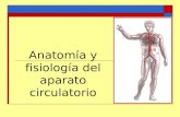Anatomía y fisiología del aparato circulatorio. El aparato circulatorio Se encarga del transporte de sustancias por todo el organismo. Formado por: El.