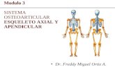 Presentación sistema osteoarticular