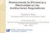 Promoviendo la Eficiencia y Efectividad en las Instituciones Reguladoras Sanford V. Berg Distinguido Profesor de la Universidad de Florida 18 de mayo de.