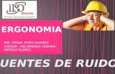 RUIDO, NORMA OFICIAL MEXICANA-011-STPS, ERGONOMIA, CONDICIONES FISICAS Y ERGONOMIA OCUPACIONAL