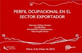 PERFIL OCUPACIONAL EN EL SECTOR EXPORTADOR Mauricio Zúñiga Montes Coordinador PROMPERU Exportaciones Macroregión Norte Piura, 3 de Mayo de 2012.