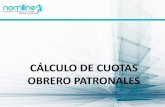 NOMILINEA CÁLCULO DE CUOTAS IMSS