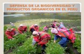 DEFENSA DE LA BIODIVERSIDAD Y PRODUCTOS ORGANICOS EN EL PERU NUTRY BODY SAC.
