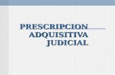 Prescripcion adquisitiva judicial