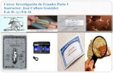 Fraude presentacion 2010