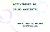 ACTIVIDADES DE SALUD AMBIENTAL MICRO RED LA MOLINA CIENEGUILLA.