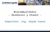 Biocombustibles - Biodiesel y Etanol - Expositor: Ing. Hayde Cunza.