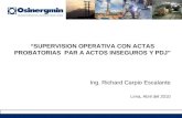SUPERVISION OPERATIVA CON ACTAS PROBATORIAS PAR A ACTOS INSEGUROS Y PDJ Ing. Richard Carpio Escalante Lima, Abril del 2010.