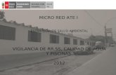 MICRO RED ATE I ESTRATEGIA DE SALUD AMBIENTAL VIGILANCIA DE RR.SS, CALIDAD DE AGUA Y PISCINAS 2012.