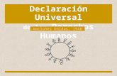 Declaración Universal Derechos Humanos