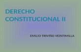 EMILIO TRIVIÑO VEINTIMILLA. -SER HUMANO -HISTORIA -GENERO -COLECTIVIDADES -NATURALEZA -ESTADO LAICO -MULTICULTURALIDAD -DERECHO PROGRESIVOS -SOBERANIA.