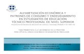 Marcela rodriguez   alfabetizacion economica en estudiantes tecnicos profesionales